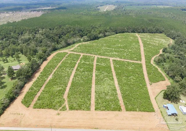 Photo 4 of Land for sale at Lot 6 Whistler Ln, Jay, FL 32565 | MLS# 688169 | Listing updated on 2026-08-28