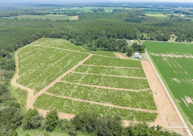 Land for sale at Lot 2 Whistler Ln, Jay, FL 32565 | MLS# 688175