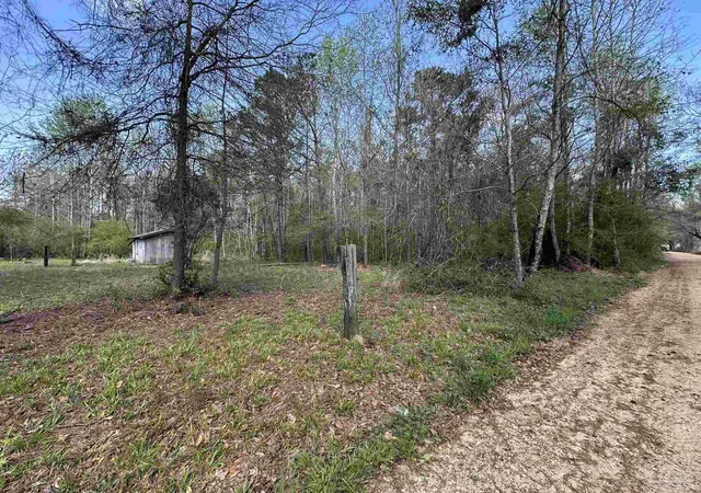 1st image of 83+/  Ac Lett Rd, Frisco City, AL 36445 | MLS# 685460