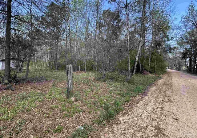 2nd image of 83+/  Ac Lett Rd, Frisco City, AL 36445 | MLS# 685460