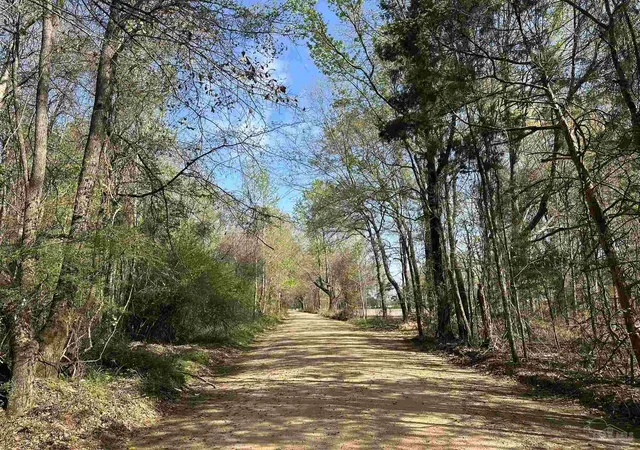 Photo 4 of Land for sale at 83+/- Ac Lett Rd, Frisco City, AL 36445 | MLS# 685460 | Listing updated on 2026-07-06