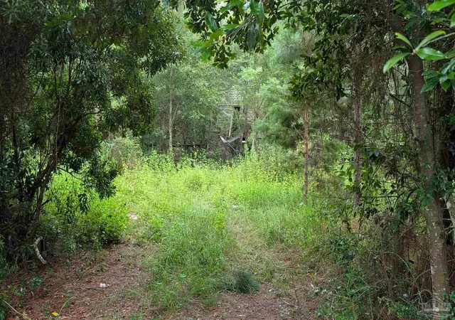 Photo 3 of Land for sale at 9791 Domino Rd, Milton, FL 32583 | MLS# 685212 | Listing updated on 2026-10-05