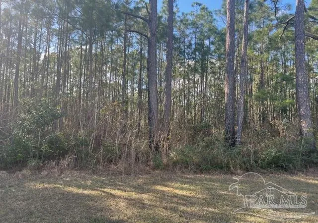 Photo 2 of Land for sale at 341k San Antonio Dr, Milton, FL 32583 | MLS# 622256 | Listing updated on 2026-03-05