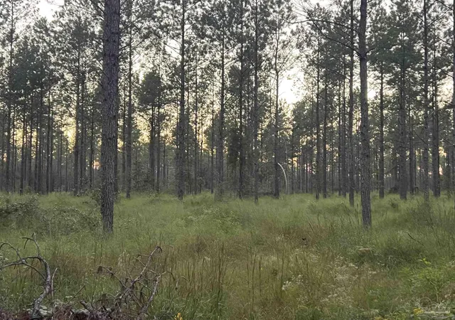 Photo 1 of Land for sale at Lot 6 Wallace Lake Rd, Milton, FL 32571 | MLS# 684563 | Listing updated on 2026-07-16