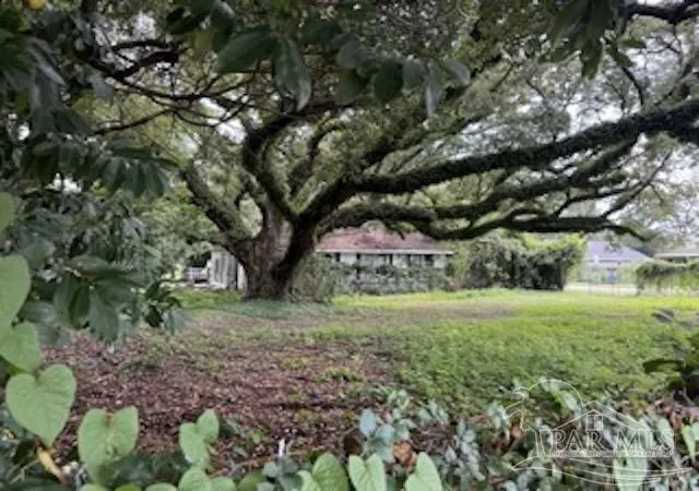 4th image of 1300 N W St, Pensacola, FL 32505 | MLS# 671721