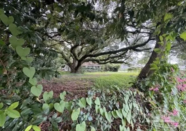 5th image of 1300 N W St, Pensacola, FL 32505 | MLS# 671721