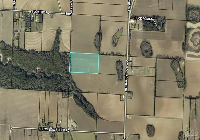 Photo 1 of Land for sale at 20 Acres Chumuckla Hwy, Jay, FL 32565 | MLS# 673146 | Listing updated on 2026-02-05