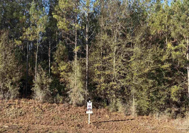 2nd image of Lot 69 Straw Bridge Rd, Allentown, FL 32565 | MLS# 675103