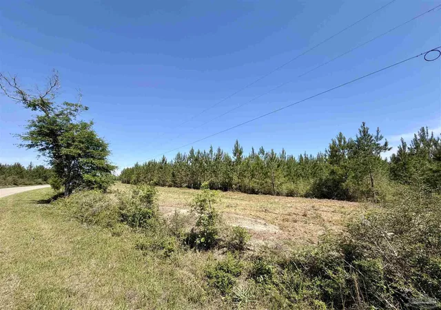 Photo 2 of Land for sale at 0000 Mineral Springs Rd, Jay, FL 32565 | MLS# 682744 | Listing updated on 2026-09-17