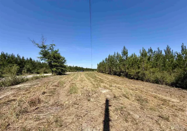 Photo 3 of Land for sale at 0000 Mineral Springs Rd, Jay, FL 32565 | MLS# 682744 | Listing updated on 2026-09-17