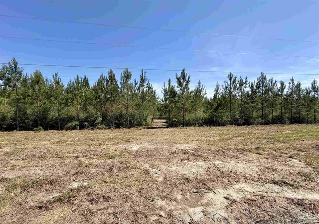 Photo 3 of Land for sale at 0000 Mineral Springs Rd, Jay, FL 32565 | MLS# 682744 | Listing updated on 2026-09-17