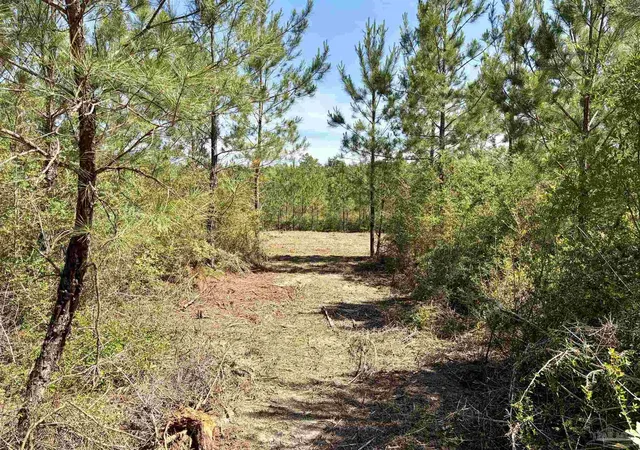 Photo 4 of Land for sale at 0000 Mineral Springs Rd, Jay, FL 32565 | MLS# 682744 | Listing updated on 2026-09-17