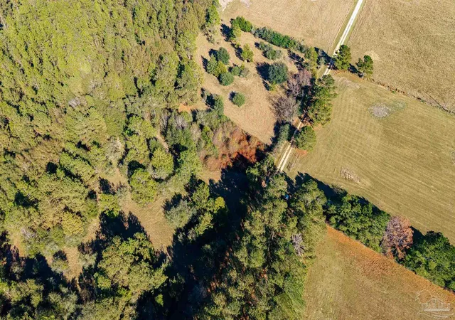 Photo 3 of Land for sale at 1756 Jacks Branch Rd, Cantonment, FL 32533 | MLS# 679896 | Listing updated on 2026-06-07