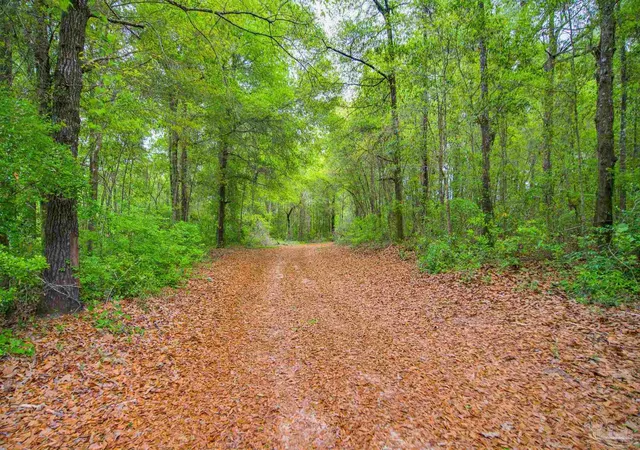 Photo 3 of Single family home for sale at 2855 Walling Rd, Milton, FL 32570 | MLS# 680707 | Listing updated on 2026-06-06
