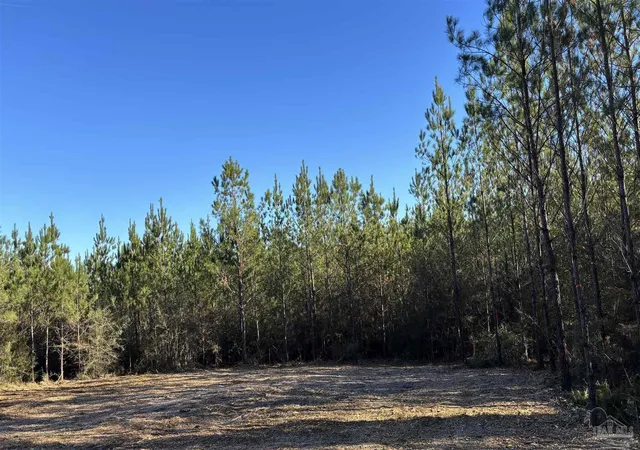 Homes for sale in Jay, FL | Lot 57 Straw Bridge Rd, Jay, FL 32565 | MLS# 675083