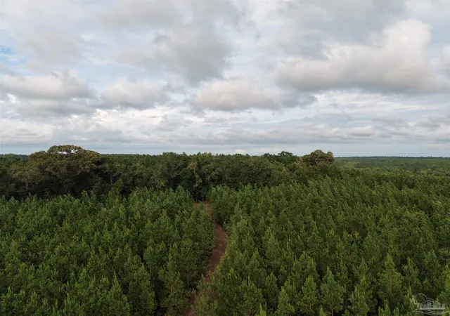 Photo 3 of Land for sale at 000 Watson Rd, Chumuckla, FL 32571 | MLS# 687619 | Listing updated on 2026-09-16