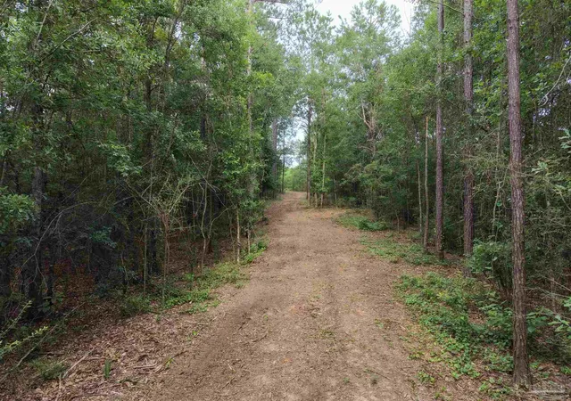 Photo 3 of Land for sale at 000 Watson Rd, Chumuckla, FL 32571 | MLS# 687619 | Listing updated on 2026-09-16