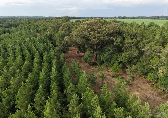 Photo 4 of Land for sale at 000 Watson Rd, Chumuckla, FL 32571 | MLS# 687619 | Listing updated on 2026-09-16