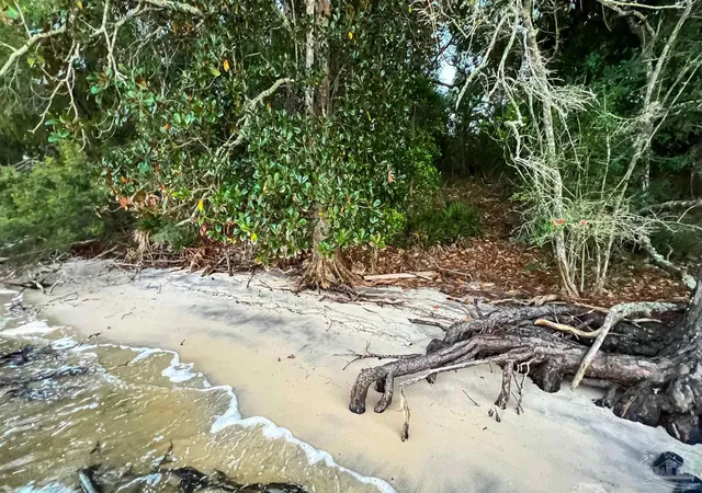 4th image of 12460 Lillian Hwy, Pensacola, FL 32506 | MLS# 677996