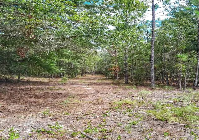 1st image of Parcel B 2 Wildlife Rd, Holt, FL 32564 | MLS# 675499