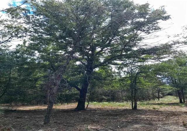 2nd image of Parcel B 2 Wildlife Rd, Holt, FL 32564 | MLS# 675499