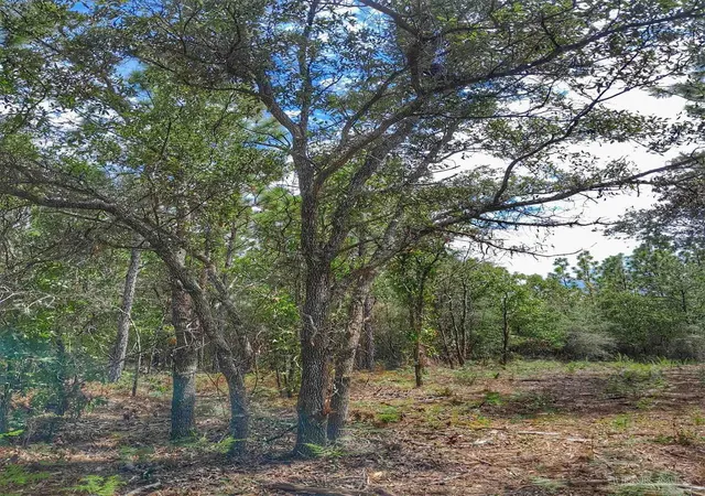 3rd image of Parcel B-2 Wildlife Rd, Holt, FL 32564 | MLS# 675499