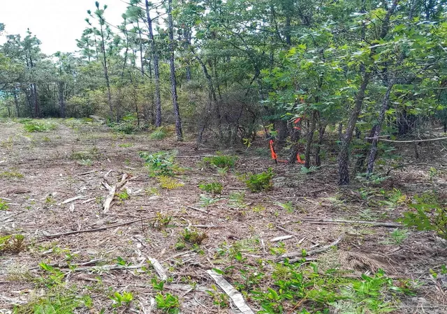 5th image of Parcel B-2 Wildlife Rd, Holt, FL 32564 | MLS# 675499