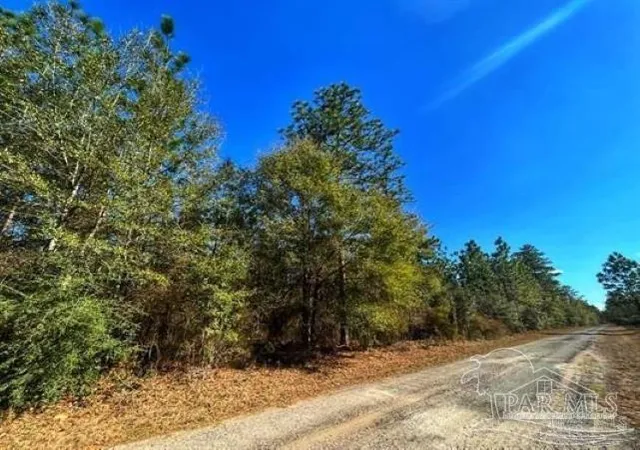 8th image of Parcel B 2 Wildlife Rd, Holt, FL 32564 | MLS# 675499