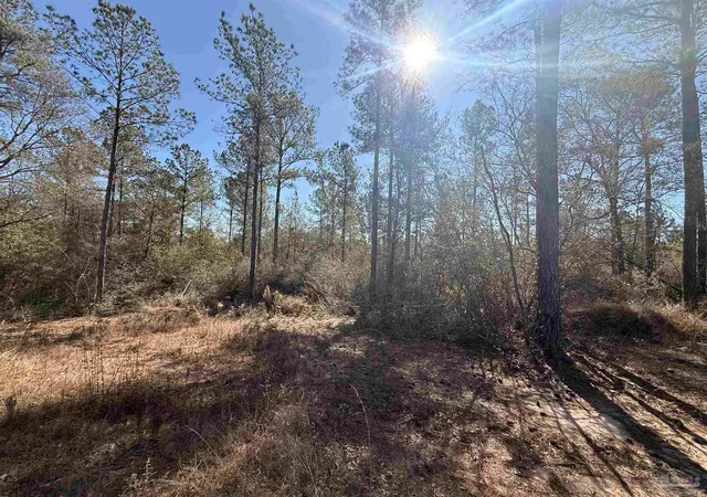 Photo 1 of Land for sale at Lot 3 Creek Blf Dr, Pace, FL 32571 | MLS# 677629 | Listing updated on 2026-07-17