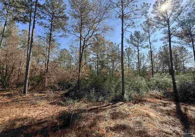 Photo 2 of Land for sale at Lot 3 Creek Blf Dr, Pace, FL 32571 | MLS# 677629 | Listing updated on 2026-07-17