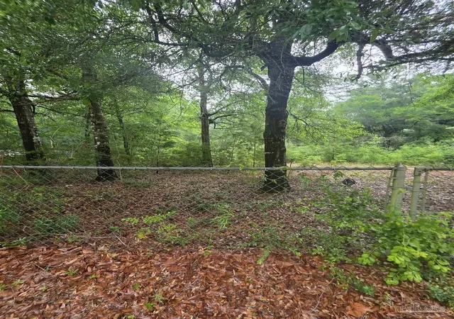 5th image of Pickens Cir, Baker, FL 32531 | MLS# 681344