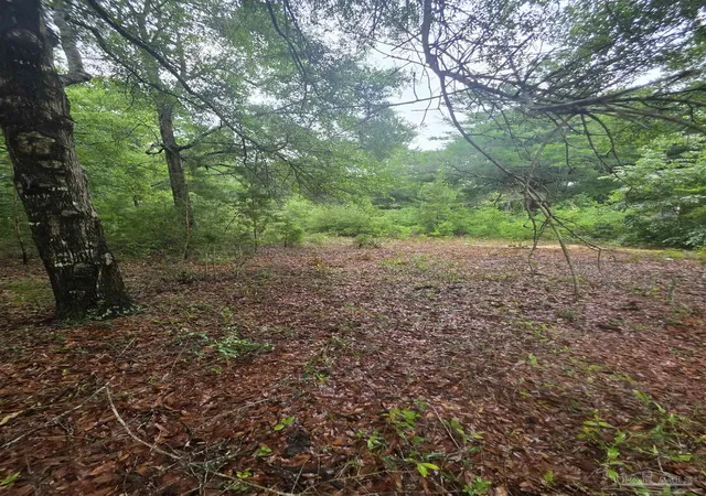 8th image of Pickens Cir, Baker, FL 32531 | MLS# 681344