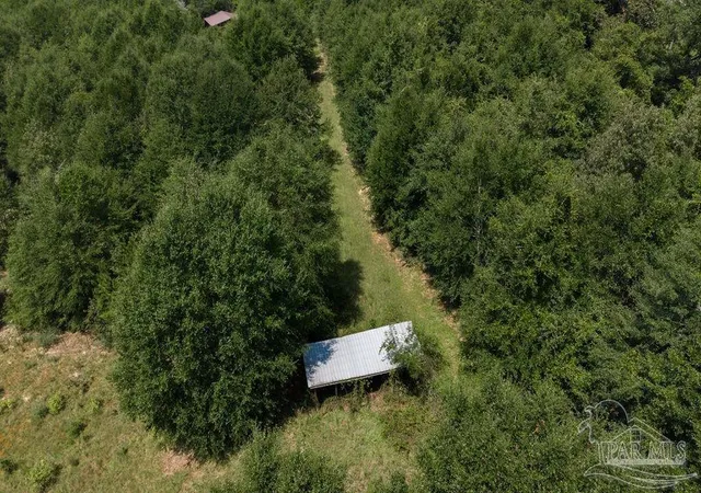 Photo 3 of Land for sale at 55 Acres Annie Penton Rd, Jay, FL 32565 | MLS# 688337 | Listing updated on 2026-09-02