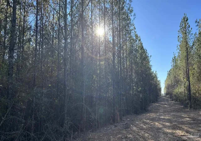 3rd image of Lot 66 Straw Bridge Rd, Allentown, FL 32565 | MLS# 675098