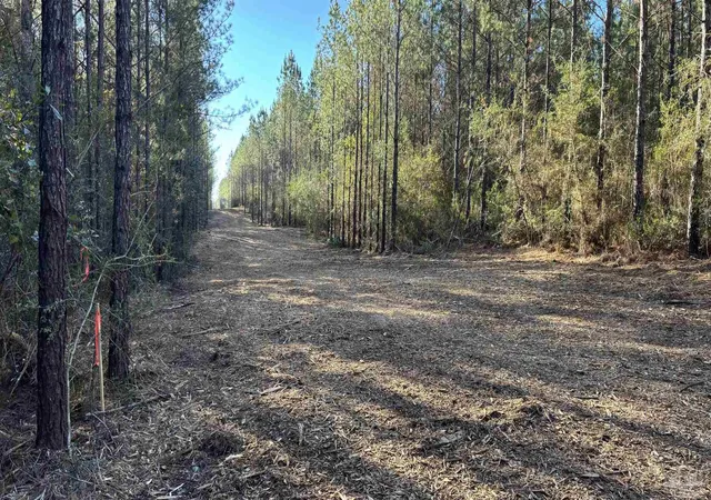 4th image of Lot 66 Straw Bridge Rd, Allentown, FL 32565 | MLS# 675098