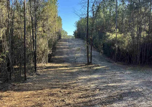 5th image of Lot 66 Straw Bridge Rd, Allentown, FL 32565 | MLS# 675098