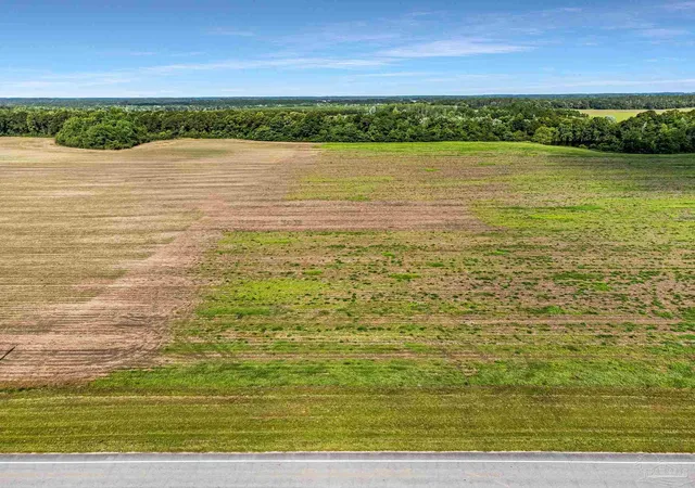 Photo 3 of Land for sale at Lot 3 Highway 97, Molino, FL 32577 | MLS# 683157 | Listing updated on 2026-10-01