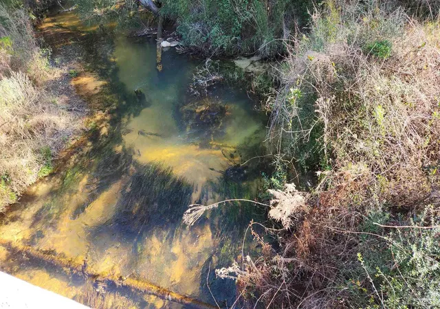 Photo 2 of Land for sale at Sherwood Forest Dr, Milton, FL 32570 | MLS# 661596 | Listing updated on 2026-03-09