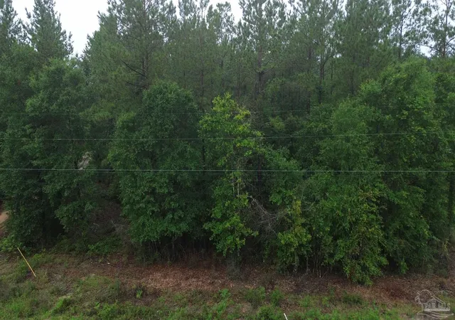 Homes for sale in Jay, FL | Lot 86 Pineview Church Rd, Jay, FL 32565 | MLS# 666107