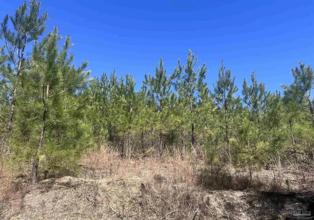 Photo 1 of Land for sale at 09 Robinsonville Rd, Atmore, AL 36502 | MLS# 660564 | Listing updated on 2026-04-27