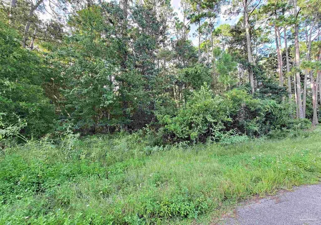 Photo 3 of Land for sale at 9294 Plumiera Pl, Pensacola, FL 32526 | MLS# 652441 | Listing updated on 2026-04-06
