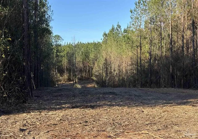 Homes for sale in Jay, FL | Lot 62 Straw Bridge Rd, Jay, FL 32565 | MLS# 675093