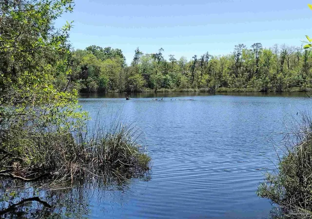 Photo 2 of Single family home for sale at 4611 Gunter Rd, Milton, FL 32570 | MLS# 684996 | Listing updated on 2026-06-25