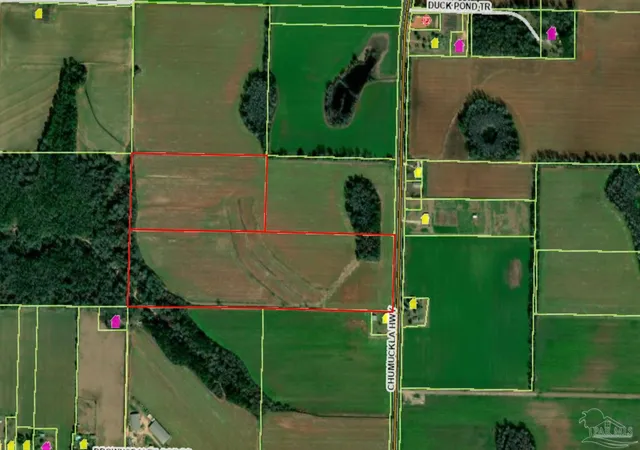 Photo 1 of Land for sale at 60 Acres Chumuckla Hwy, Jay, FL 32565 | MLS# 672832 | Listing updated on 2026-02-05