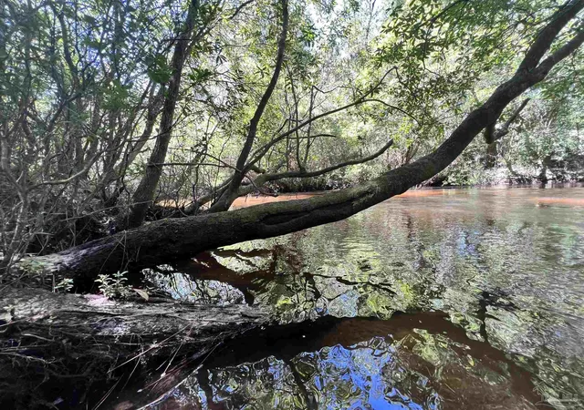 1st image of Hamilton Bridge Rd, Milton, FL 32571 | MLS# 613658