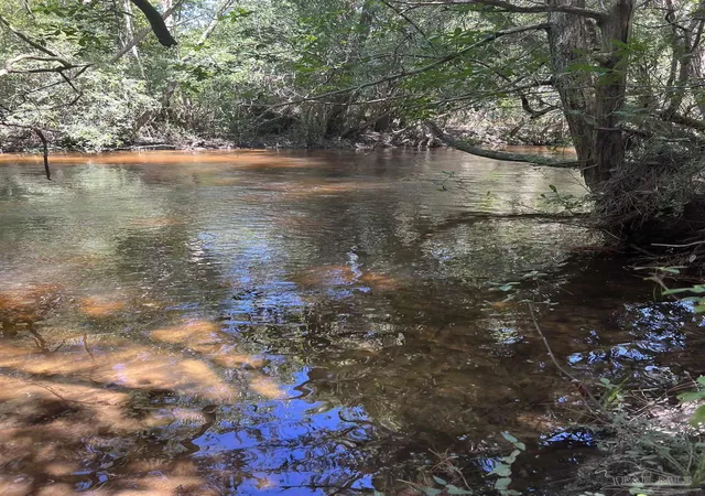 Photo 3 of Land for sale at Hamilton Bridge Rd, Milton, FL 32571 | MLS# 613658 | Listing updated on 2026-07-26