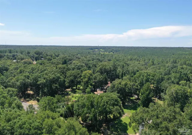 43rd image of Hamilton Bridge Rd, Milton, FL 32571 | MLS# 613658