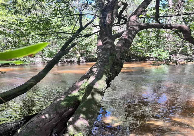 Photo 4 of Land for sale at Hamilton Bridge Rd, Milton, FL 32571 | MLS# 613658 | Listing updated on 2026-07-26