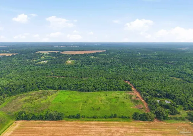 Photo 2 of Land for sale at 0100 Mineral Springs Rd, Jay, FL 32565 | MLS# 683747 | Listing updated on 2026-08-05