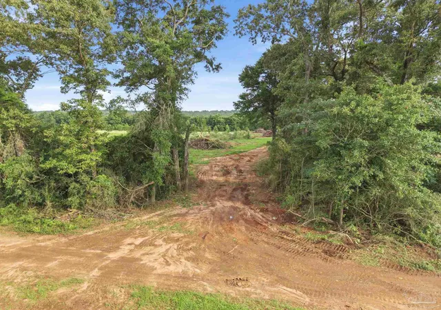 Photo 3 of Land for sale at 0100 Mineral Springs Rd, Jay, FL 32565 | MLS# 683747 | Listing updated on 2026-08-05